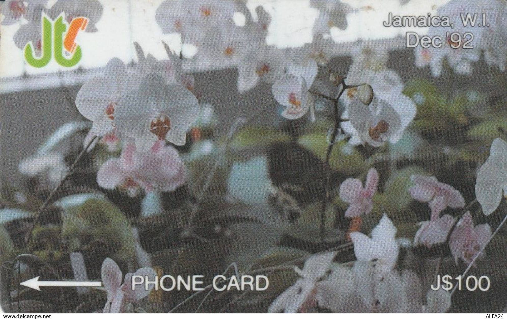 PHONE CARD GIAMAICA (E82.15.6 - Jamaica
