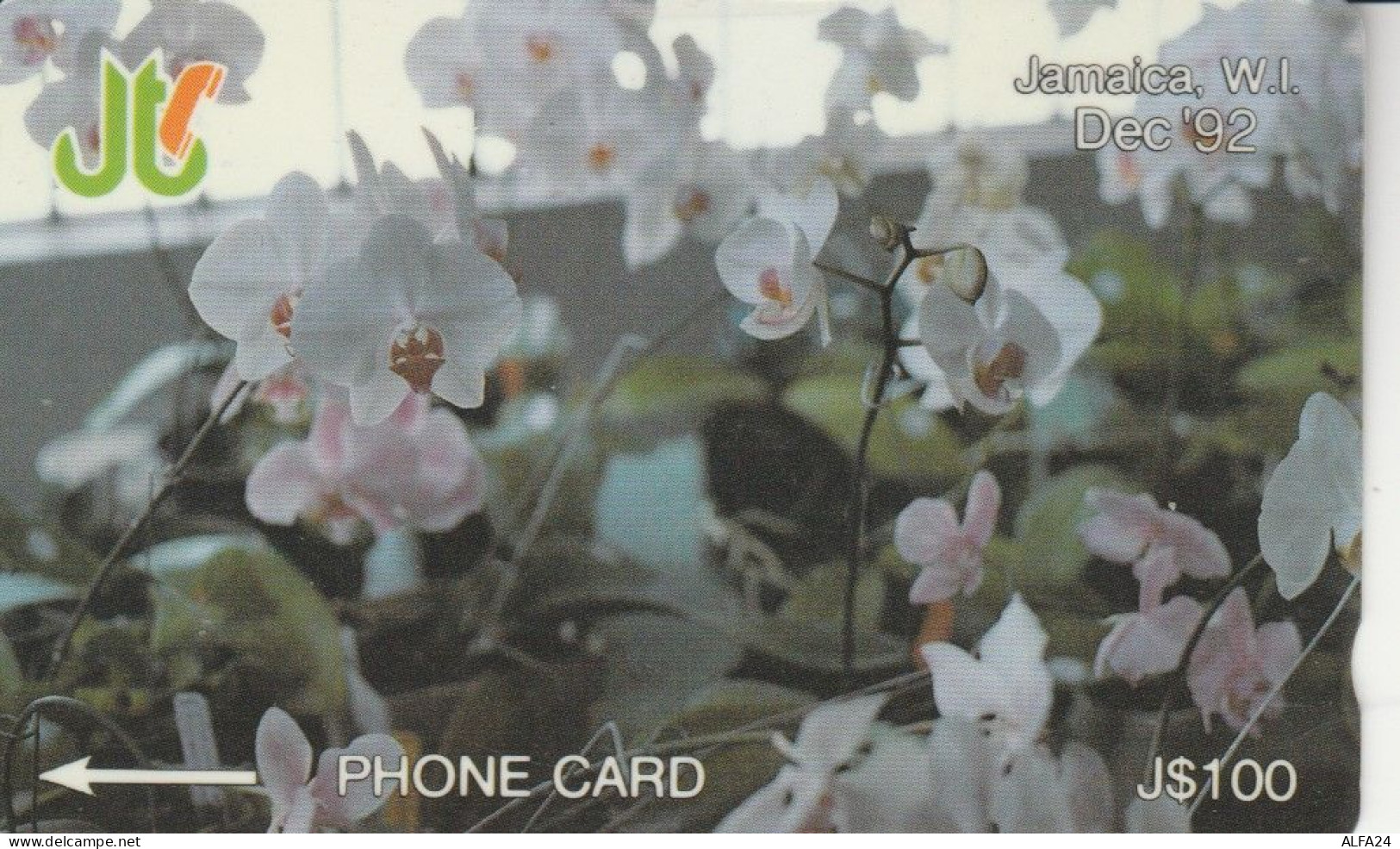 PHONE CARD GIAMAICA (E82.15.5 - Jamaïque