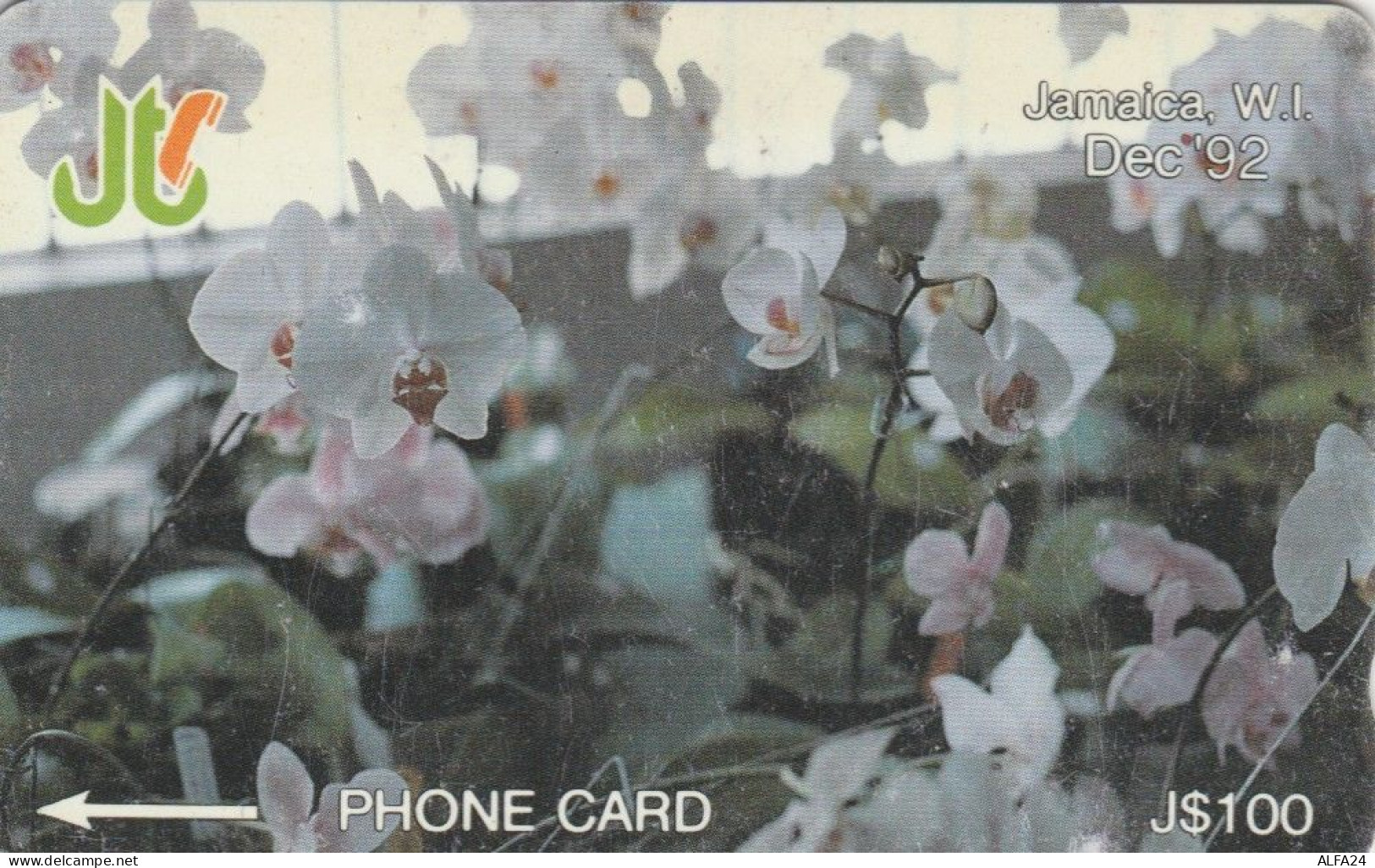 PHONE CARD GIAMAICA (E82.15.7 - Jamaica