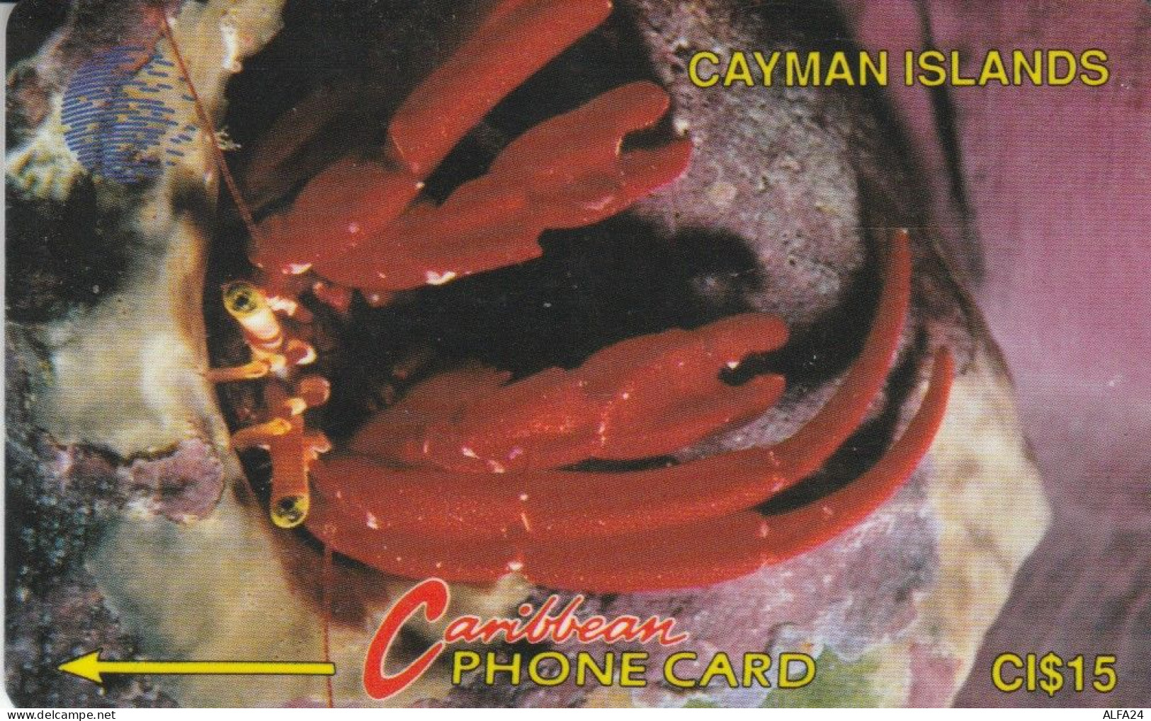 PHONE CARD CAYMAN ISLAND (E82.14.2 - Kaaimaneilanden