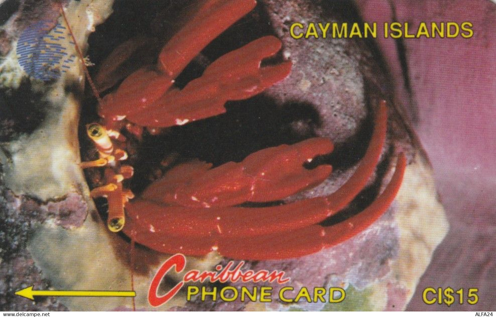 PHONE CARD CAYMAN ISLAND (E82.14.4 - Kaaimaneilanden