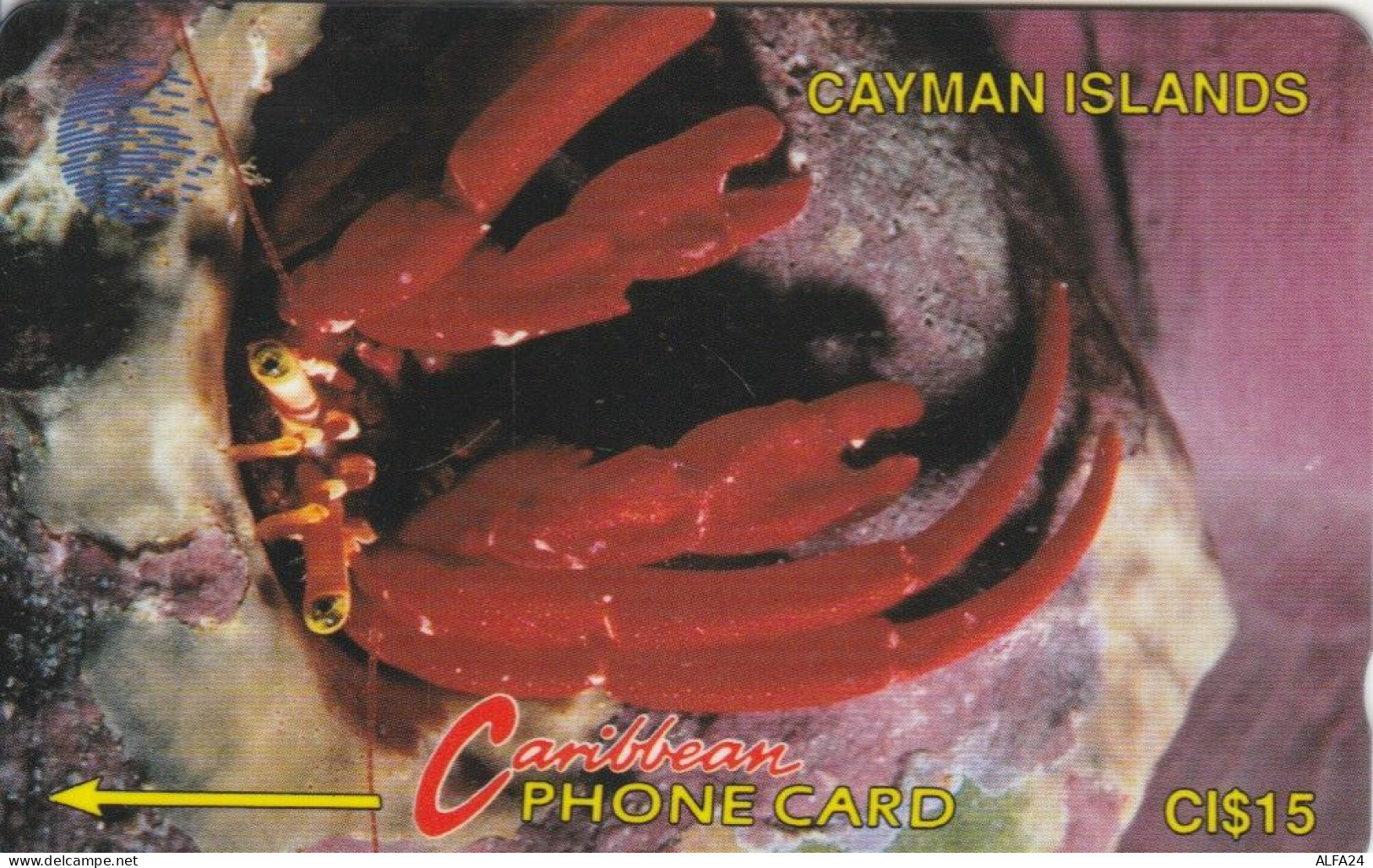 PHONE CARD CAYMAN ISLAND (E82.14.3 - Kaimaninseln (Cayman I.)
