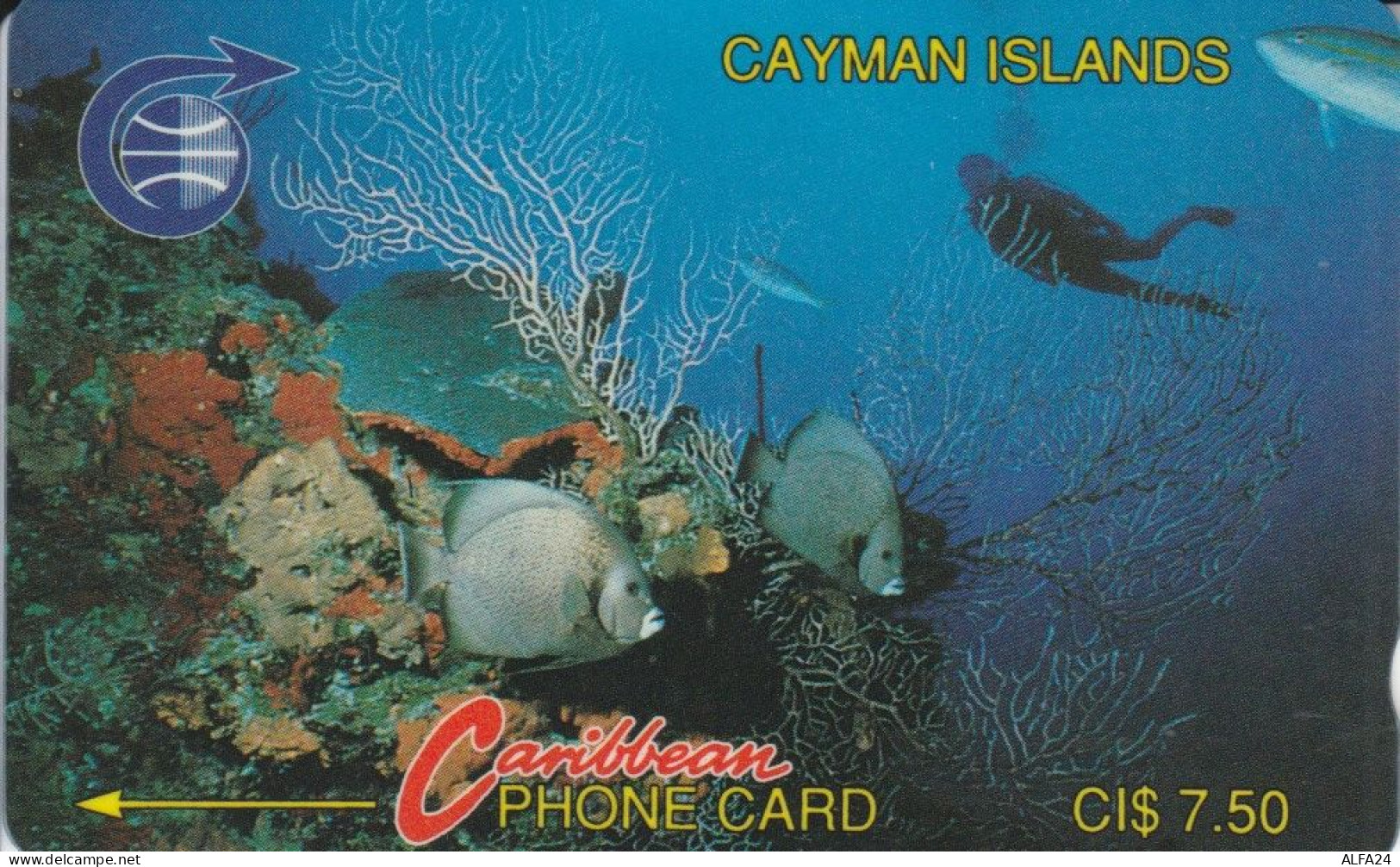 PHONE CARD CAYMAN ISLAND (E82.14.1 - Iles Cayman