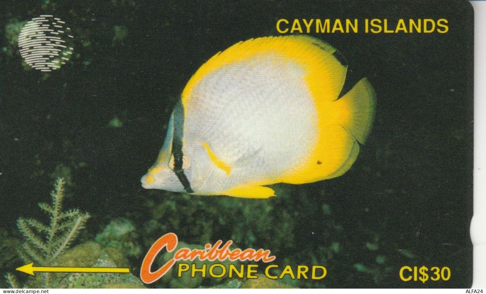 PHONE CARD CAYMAN ISLAND (E82.12.5 - Iles Cayman
