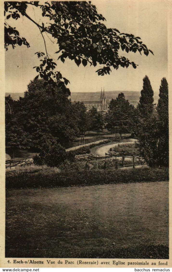 ESCH-SUR-ALZETTE - Vue Du Parc (Roseraie) Avec Église Paroissiale Au Fond - Esch-sur-Alzette