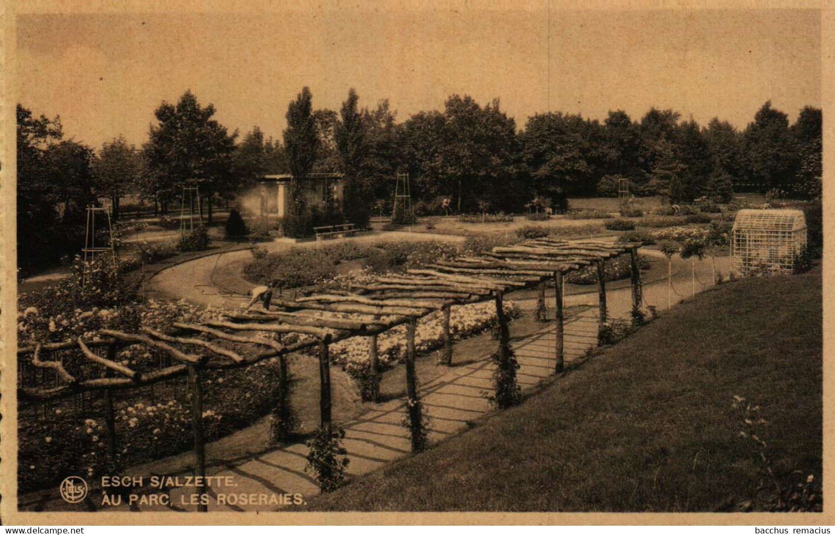 ESCH-SUR-ALZETTE - Au Parc Des Roseraies - Esch-sur-Alzette