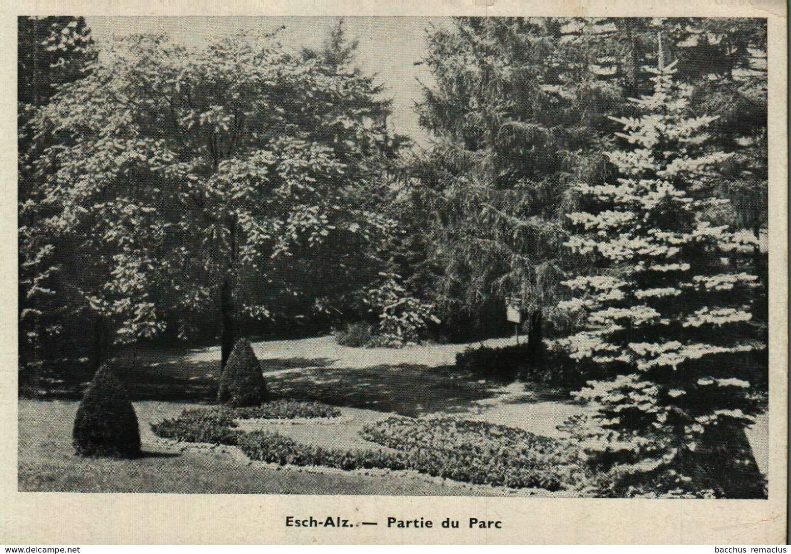 ESCH-SUR-ALZETTE - Partie Du Parc - Esch-Alzette