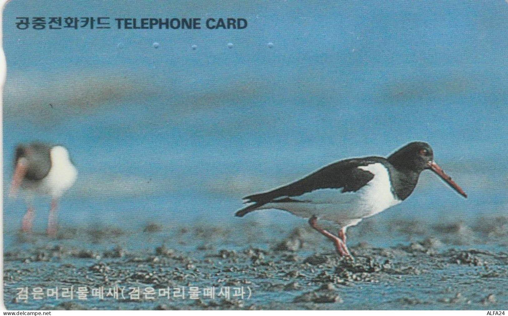PHONE CARD COREA SUD (E83.40.2 - Corée Du Sud