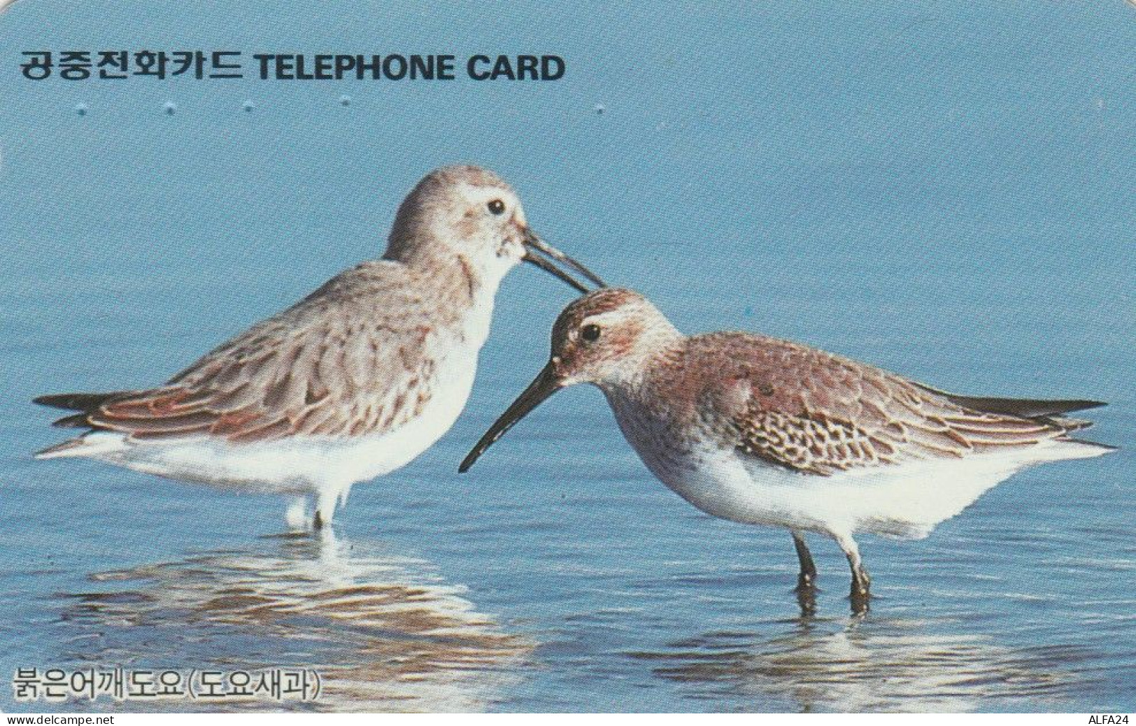 PHONE CARD COREA SUD (E83.39.8 - Corée Du Sud