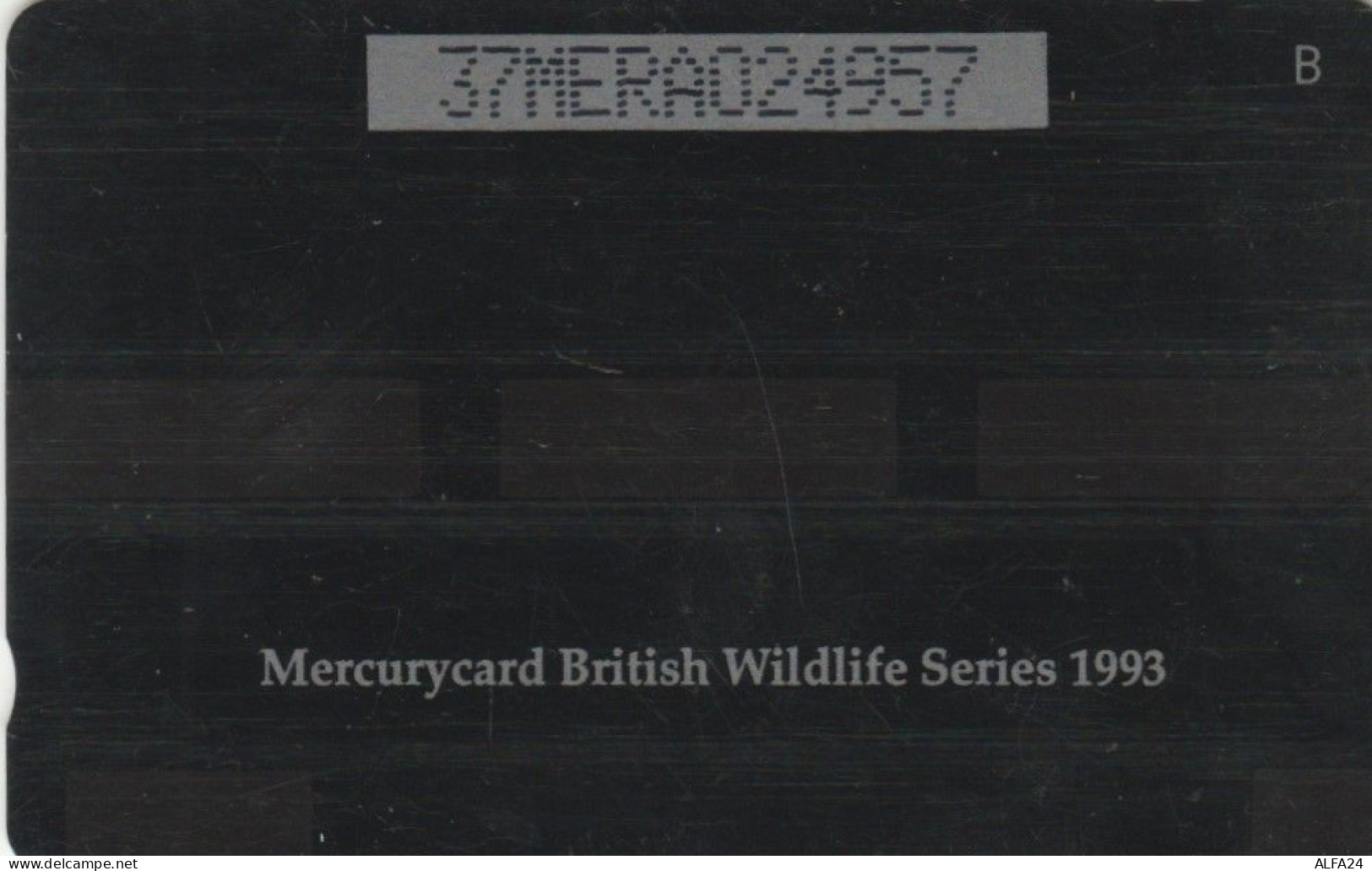 PHONE CARD REGNO UNITO MERCURY (E83.12.8 - [ 4] Mercury Communications & Paytelco