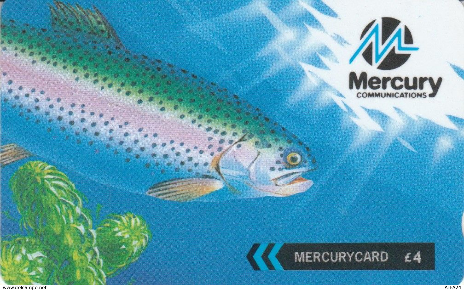 PHONE CARD REGNO UNITO MERCURY (E83.11.6 - [ 4] Mercury Communications & Paytelco