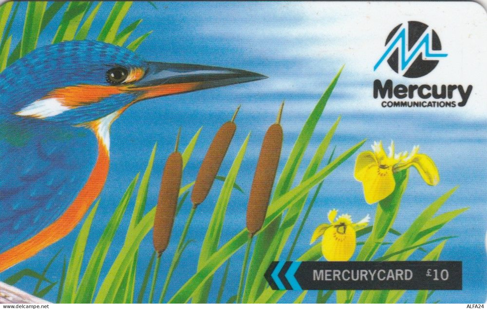 PHONE CARD REGNO UNITO MERCURY (E83.11.7 - [ 4] Mercury Communications & Paytelco