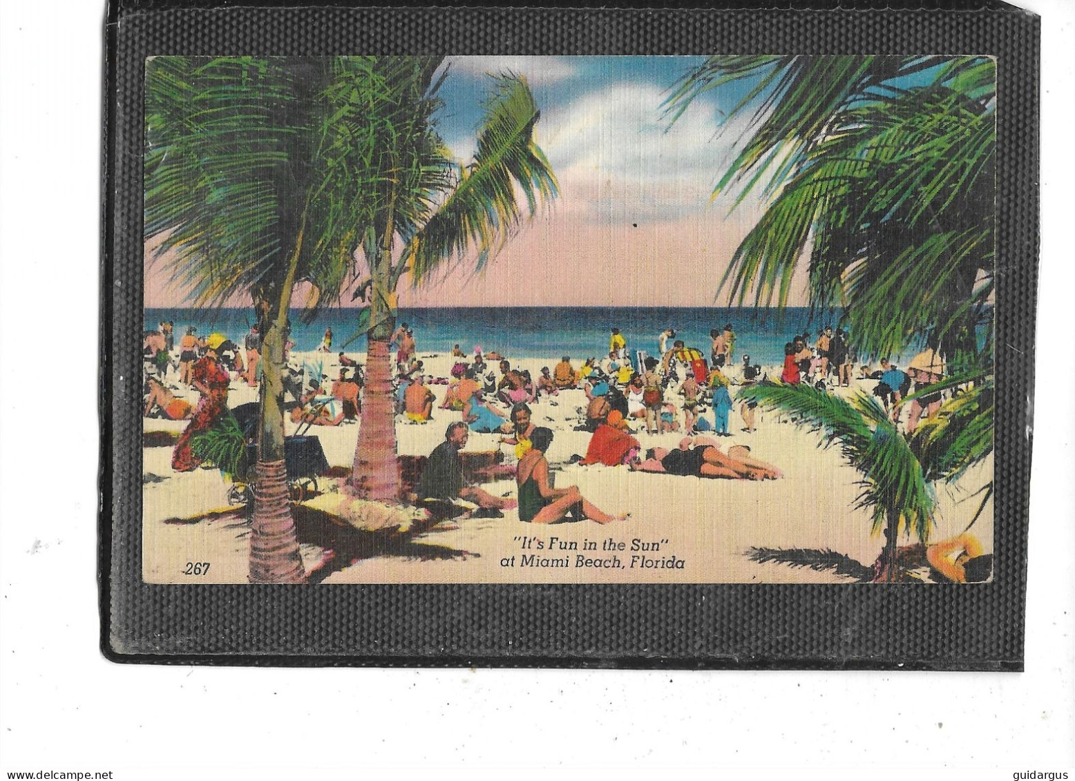 ETATS -UNIS-D'AMERIQUE- MIAMI- *At Miami Beach " It's FUN In The SUN " - Miami