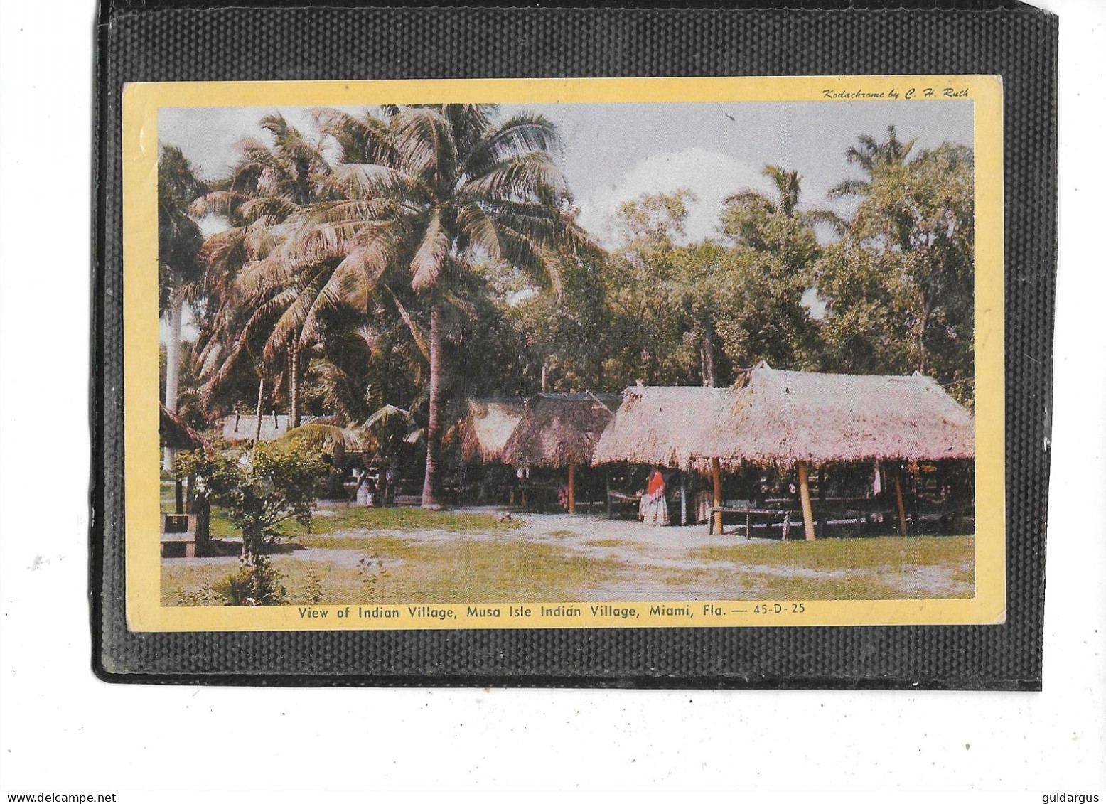 ETATS -UNIS-D'AMERIQUE- MIAMI- *View Of INDIANVILLAGE ;Musa Isle Indian Village - Miami