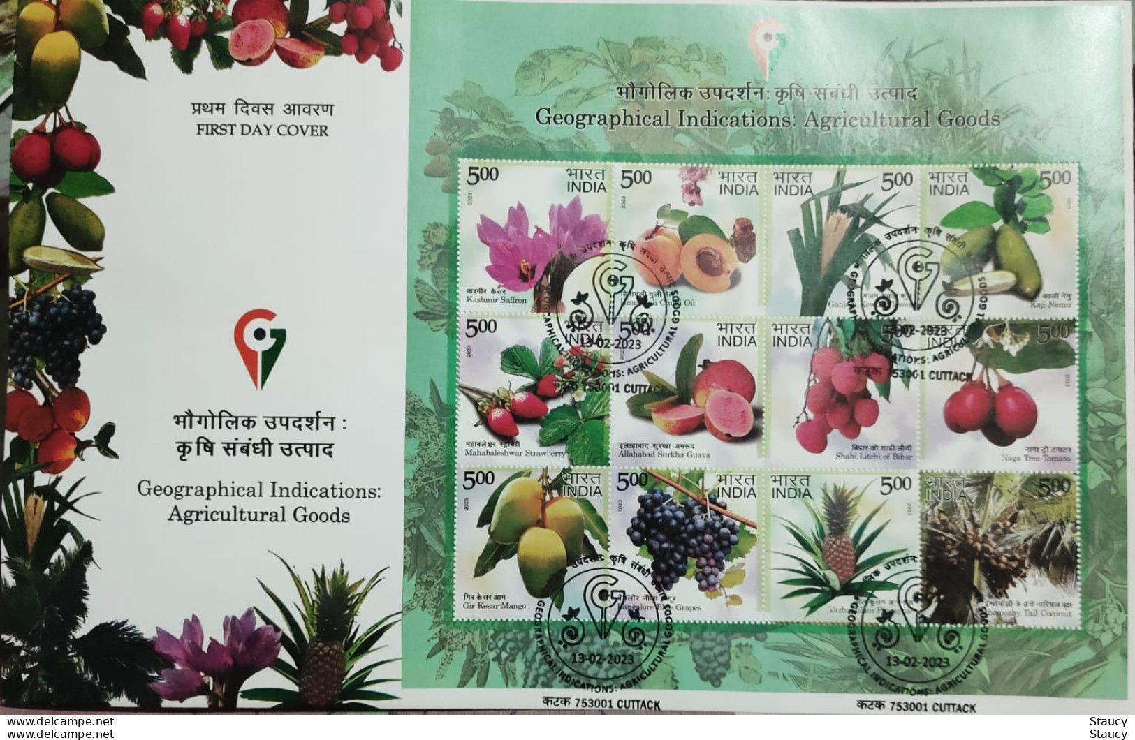 India 2023 Complete Year Collection Of 11 MS / SS FIRST DAY COVER'S FDC'S Year Pack As Per Scan RARE To Get - Komplette Jahrgänge