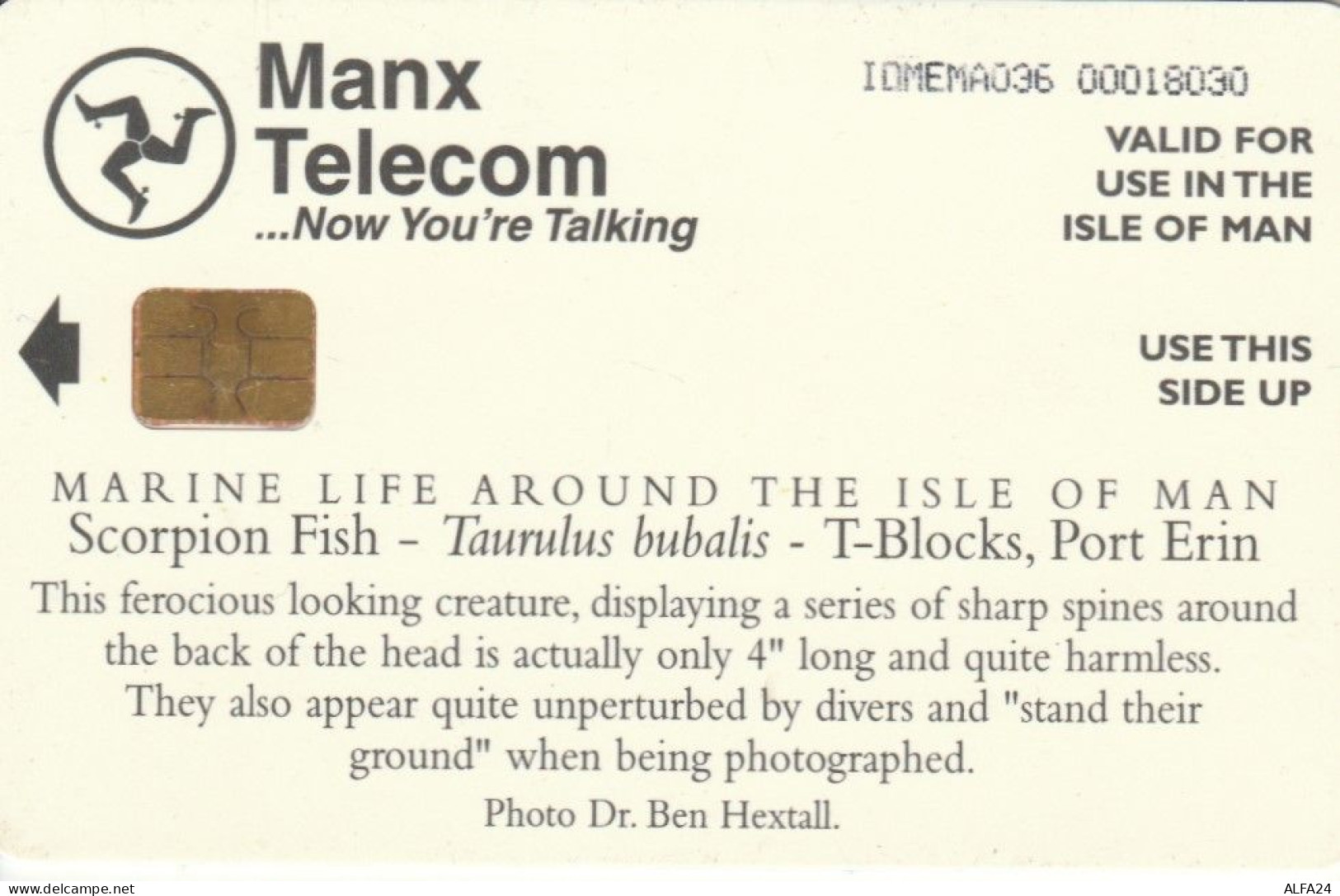 PHONE CARD ISOLA MAN (E84.23.7 - Île De Man