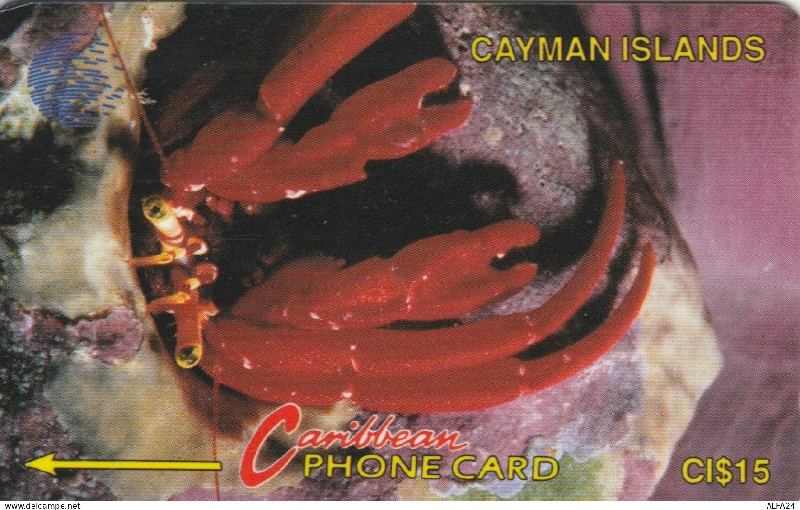 PHONE CARD CAYMAN ISLANDS (E84.21.3 - Iles Cayman