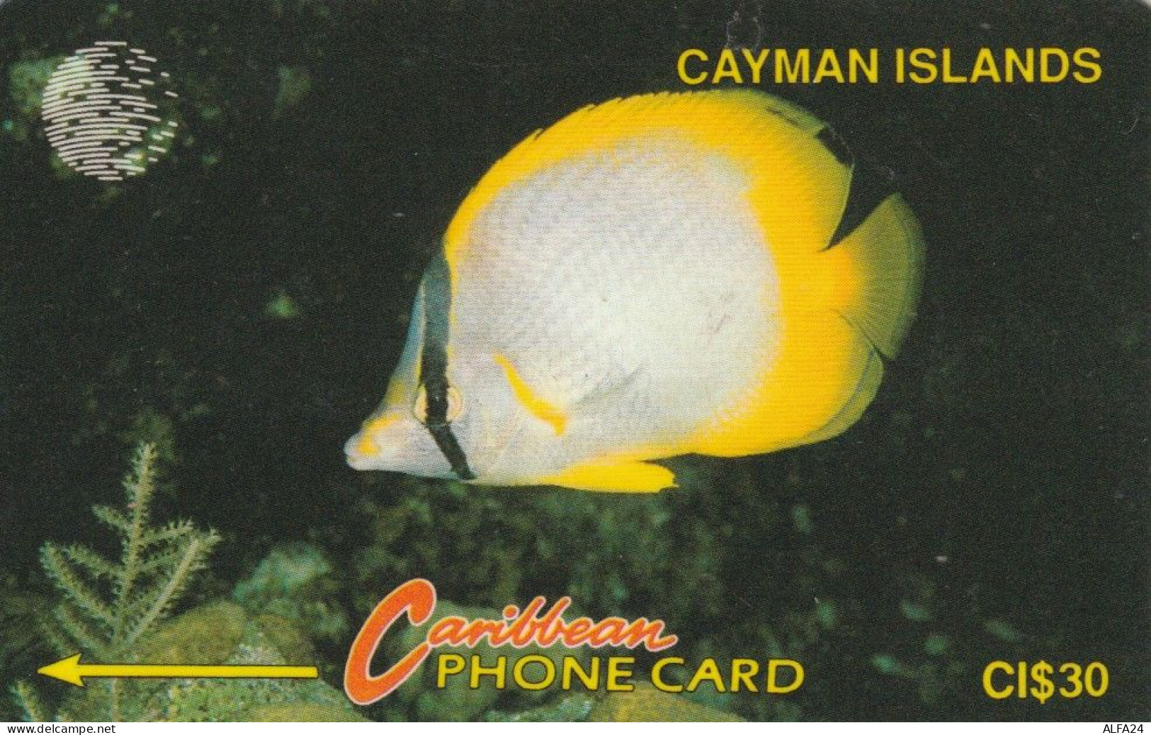 PHONE CARD CAYMAN ISLANDS (E84.21.1 - Islas Caimán