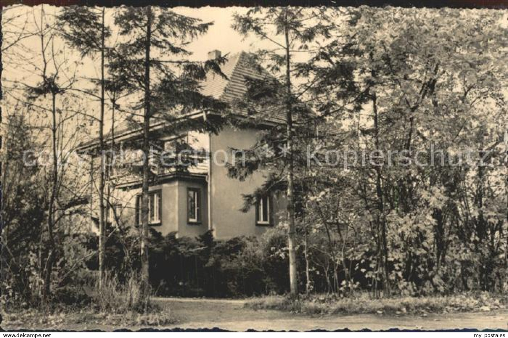 42241095 Falkenstein Vogtland Heimat Zoo Verwaltung Falkenstein - Falkenstein (Vogtland)