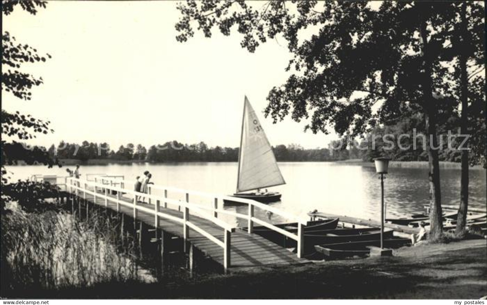 42240920 Strausberg Brandenburg Bootssteg Am See Segelboot Strausberg - Strausberg