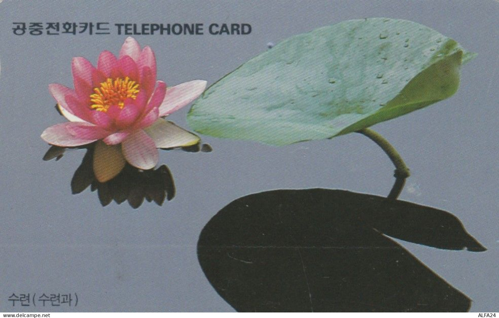 PHONE CARD COREA SUD (E86.11.6 - Corée Du Sud