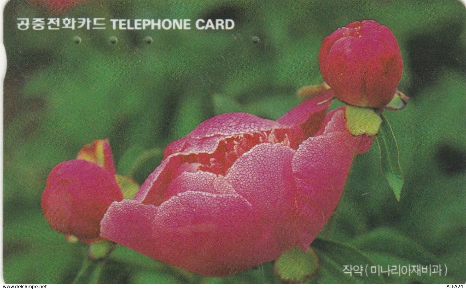 PHONE CARD COREA SUD (E86.2.8 - Korea (Süd)