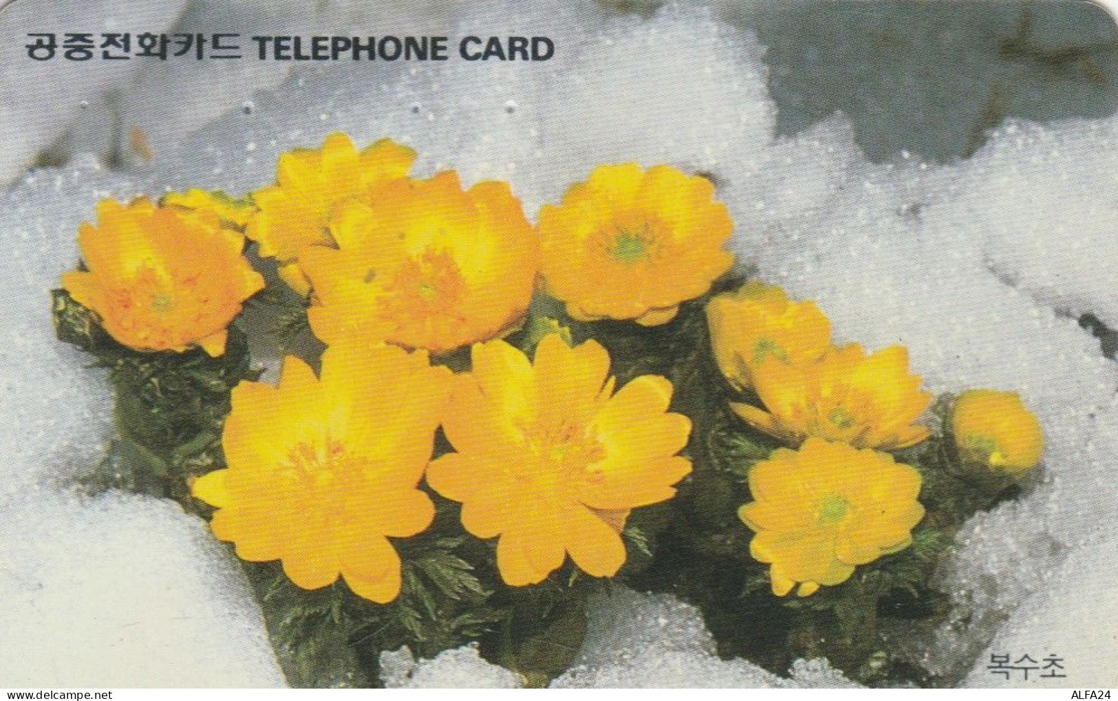 PHONE CARD COREA SUD (E86.2.1 - Korea (Süd)