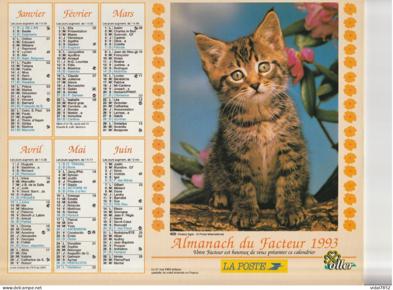 Calendrier-Almanach Des P.T.T 1993 -Chaton Tigré-Chatons Roux- Département AIN-01-Référence 405 - Tamaño Grande : 1991-00