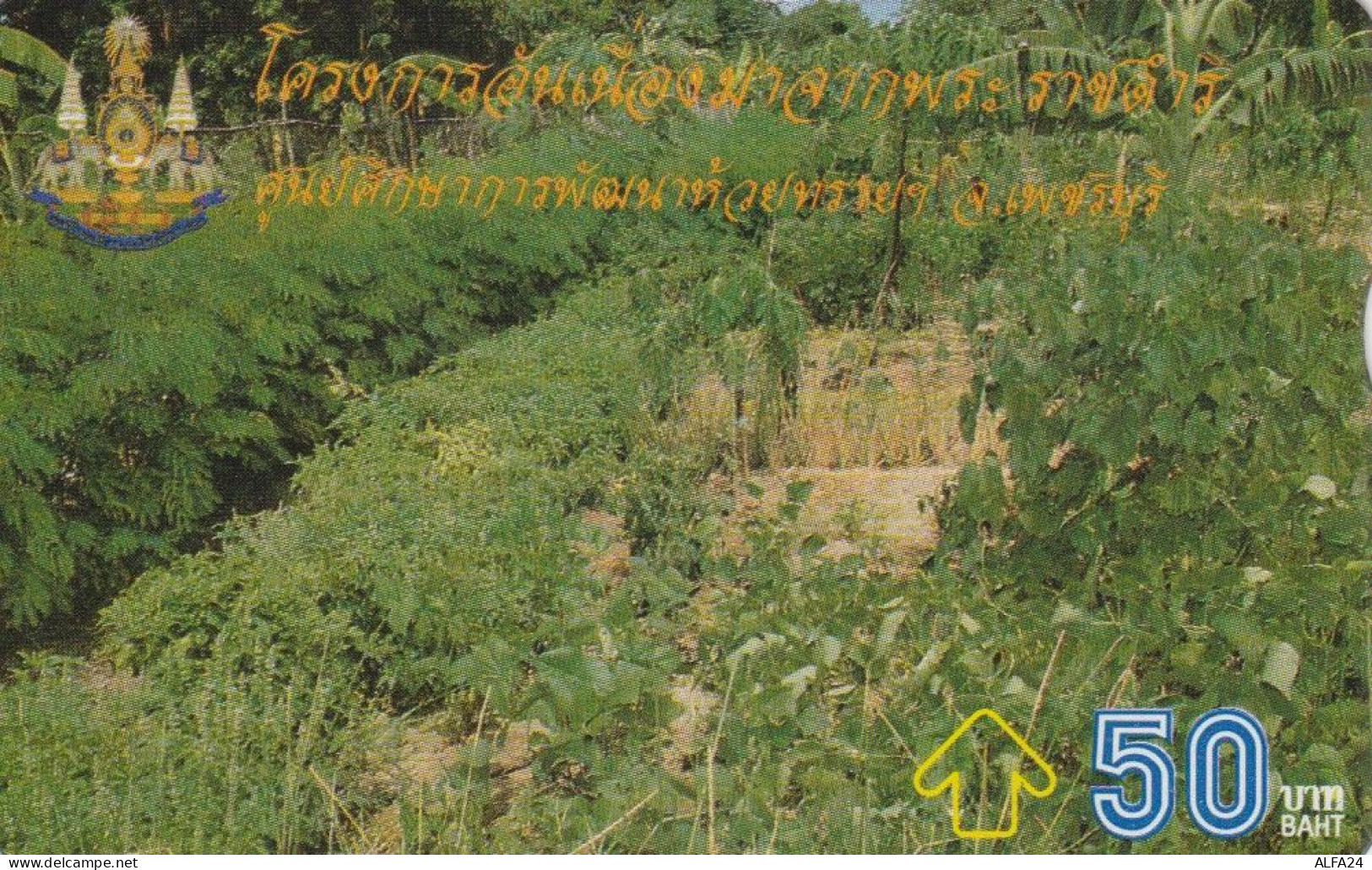 PHONE CARD TAILANDIA (E88.23.3 - Thaïland