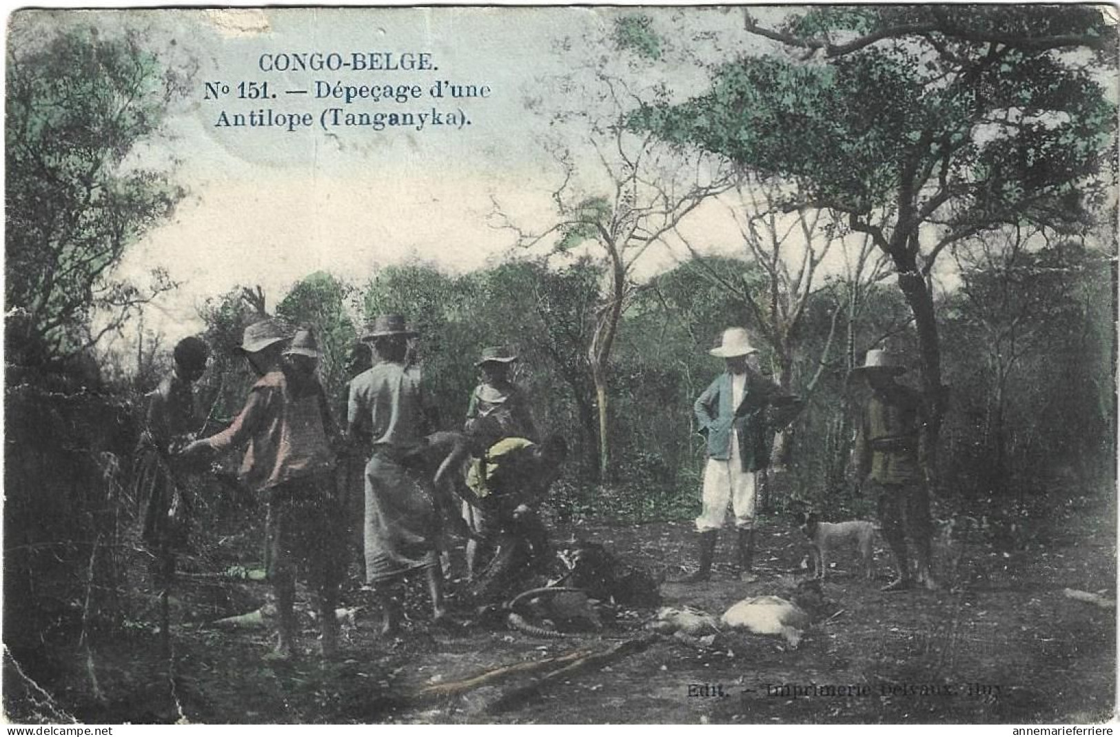 Congo-Belge Dépeçage D'une Antilope ( Tanganyka ) - Congo Belge