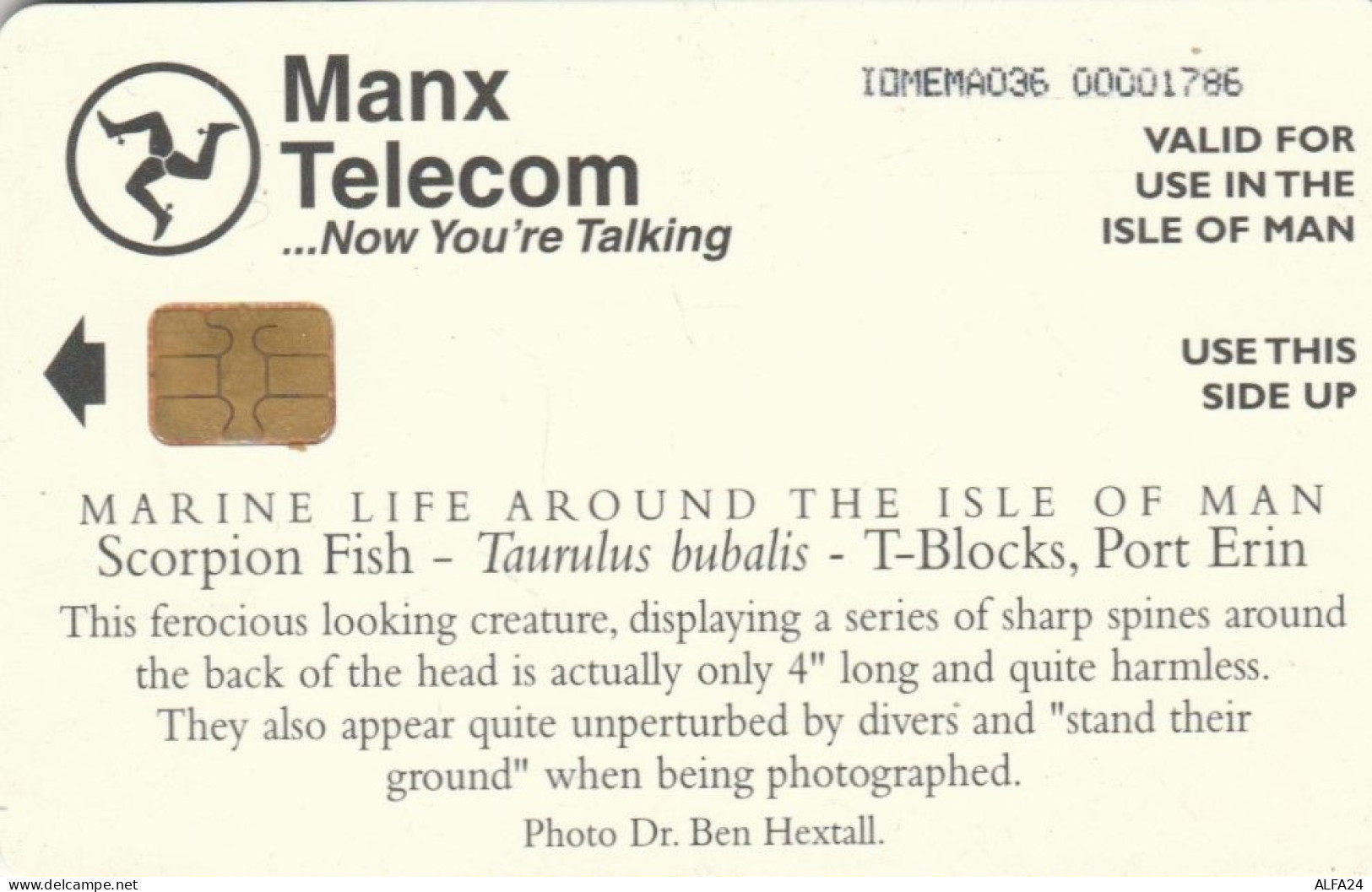 PHONE CARD ISOLA MAN (E89.17.2 - Eiland Man