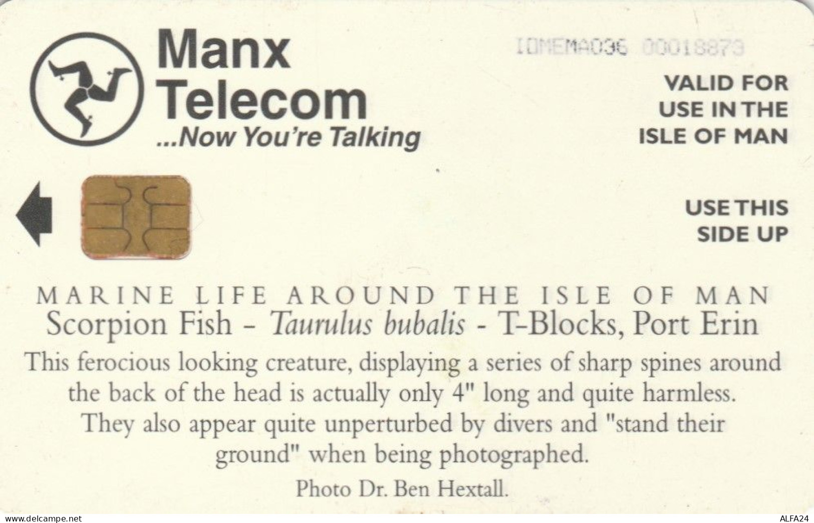 PHONE CARD ISOLA MAN (E89.16.8 - [ 6] Isla Man