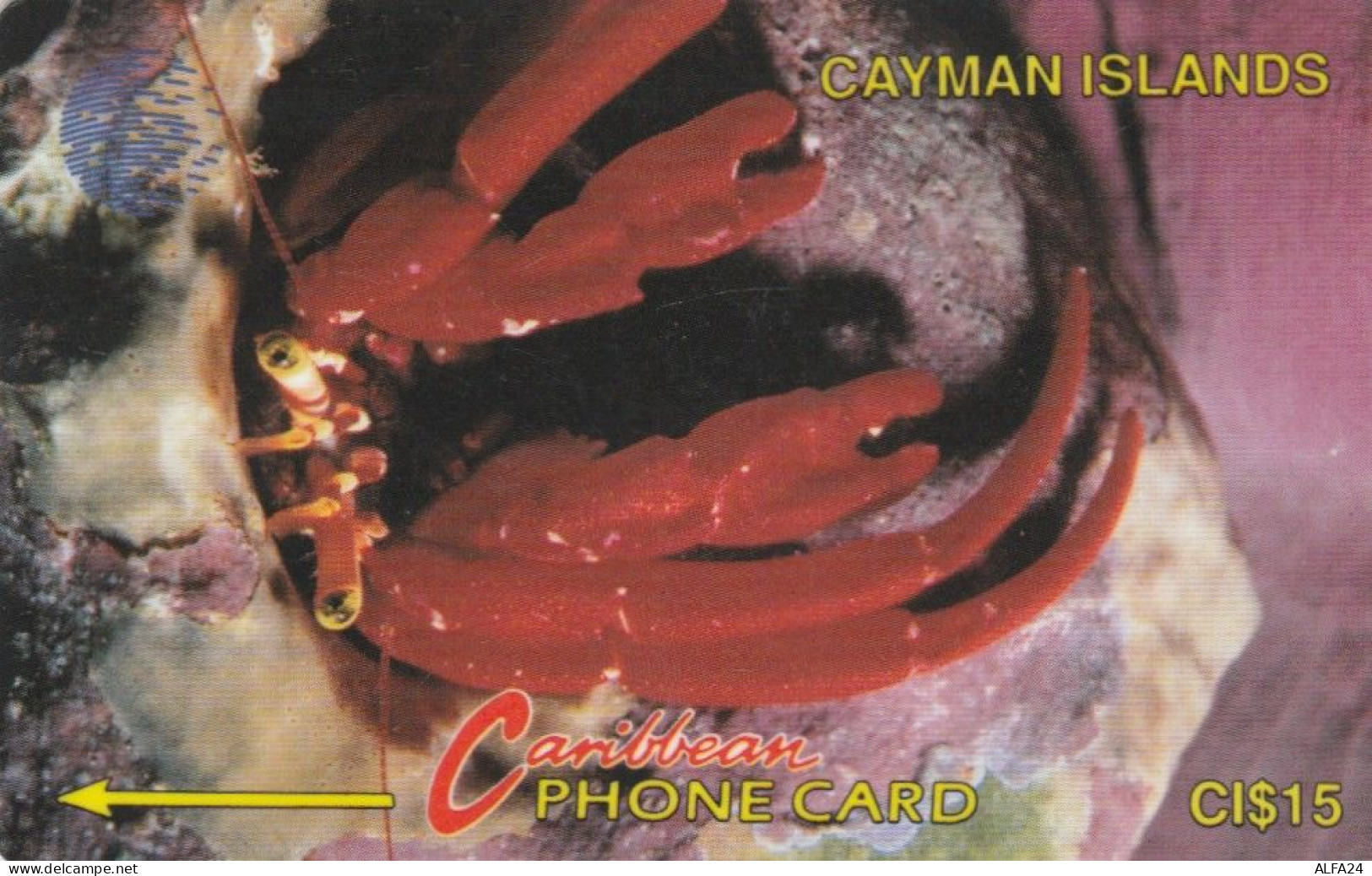 PHONE CARD CAYMAN ISLAND (E89.9.6 - Iles Cayman