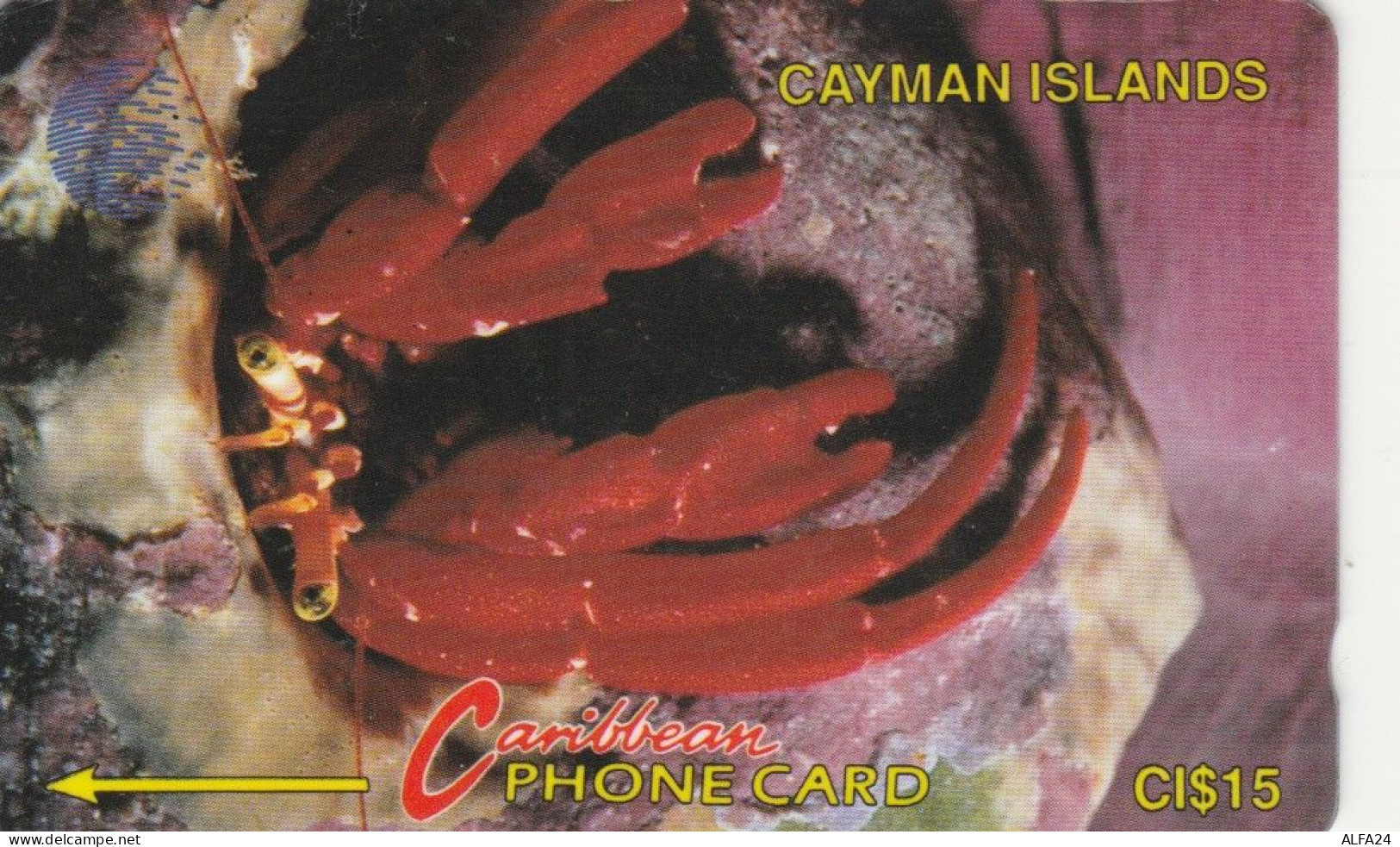 PHONE CARD CAYMAN ISLAND (E89.9.5 - Iles Cayman