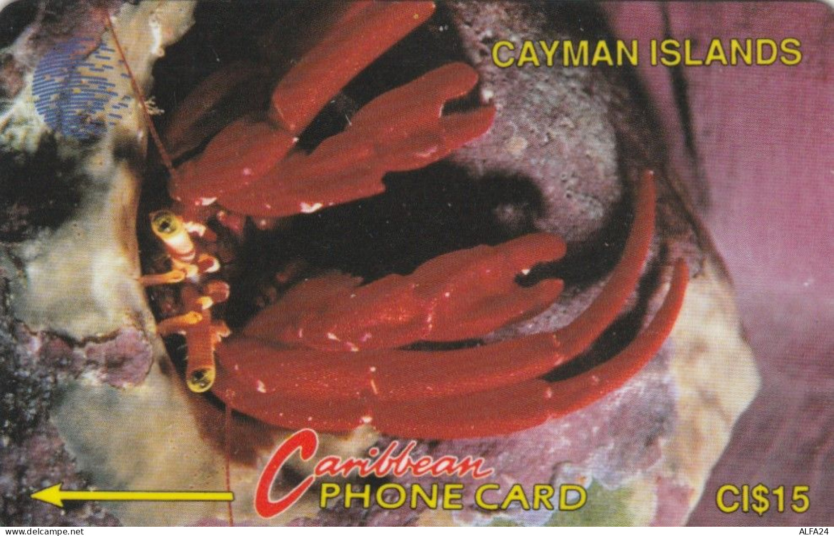 PHONE CARD CAYMAN ISLAND (E89.9.8 - Islas Caimán