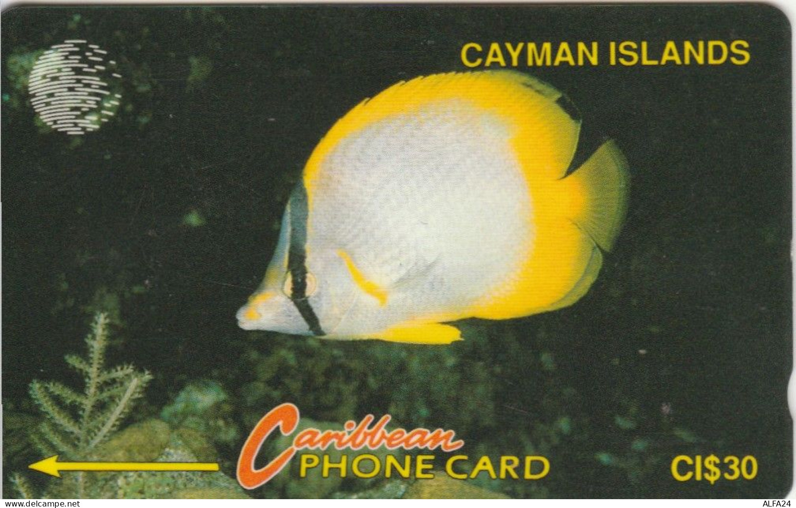 PHONE CARD CAYMAN ISLAND (E89.8.5 - Iles Cayman