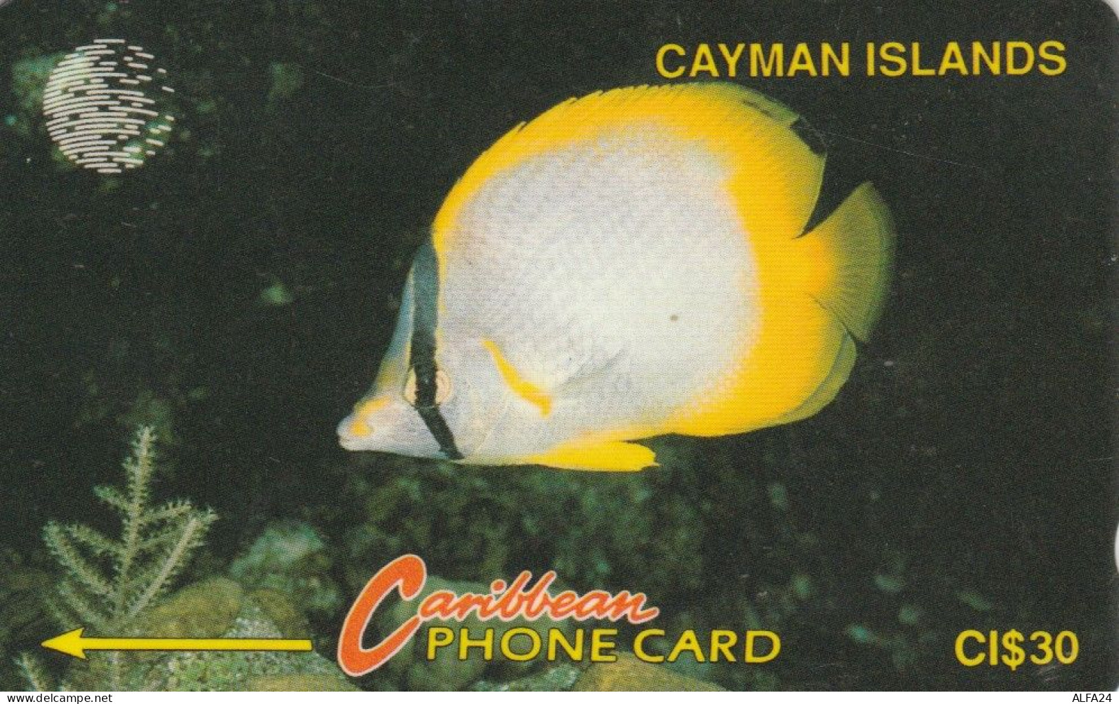 PHONE CARD CAYMAN ISLAND (E89.8.7 - Iles Cayman