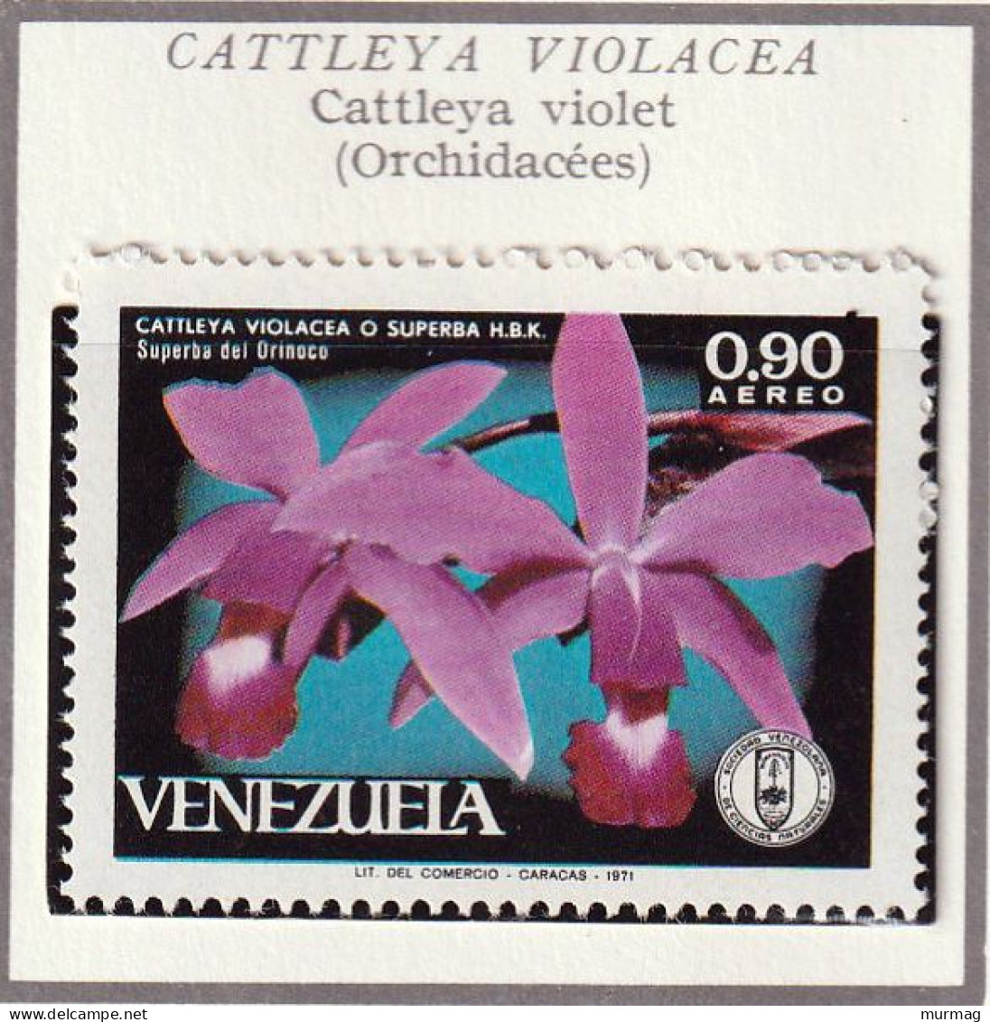 VENEZUELA - Fleurs, Flowers, Orchidées  - 1971 - MNH - Venezuela