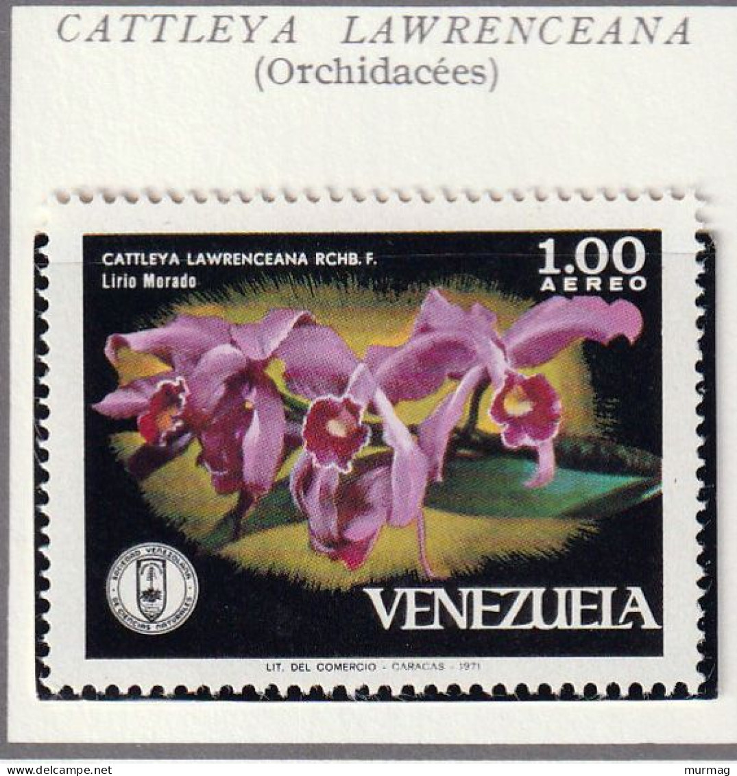 VENEZUELA - Fleurs, Flowers, Orchidées  - 1971 - MNH - Venezuela