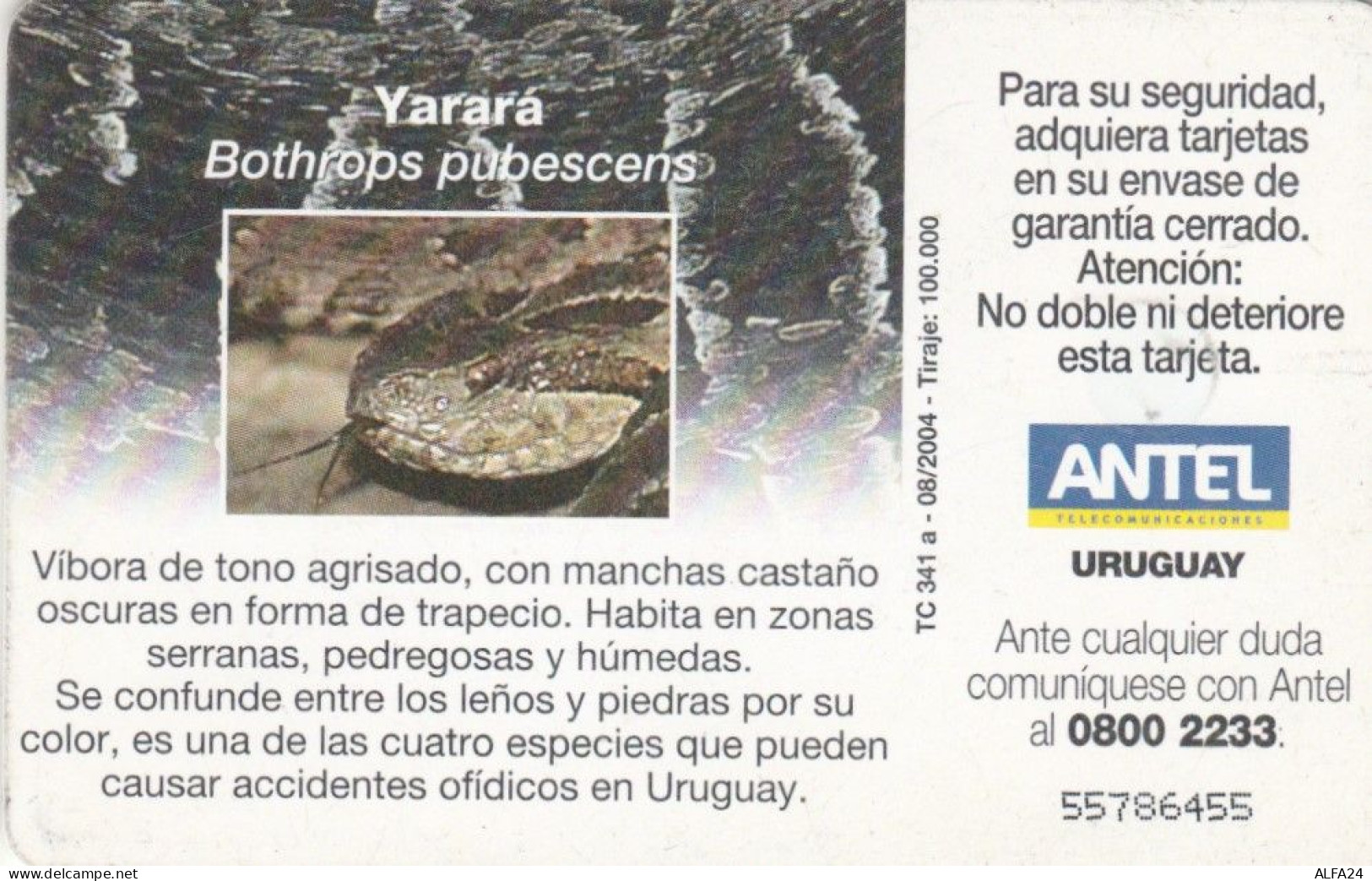 PHONE CARD URUGUAY  (E90.18.6 - Uruguay