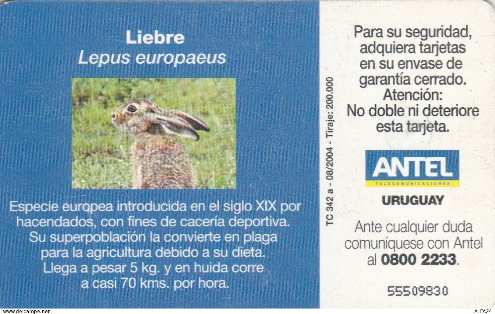 PHONE CARD URUGUAY  (E90.18.5 - Uruguay