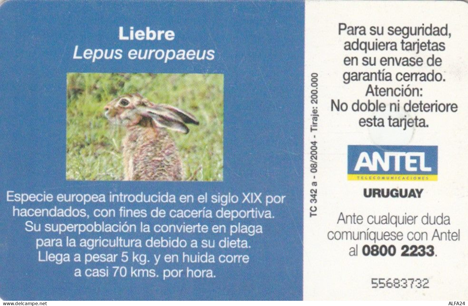 PHONE CARD URUGUAY  (E90.18.4 - Uruguay