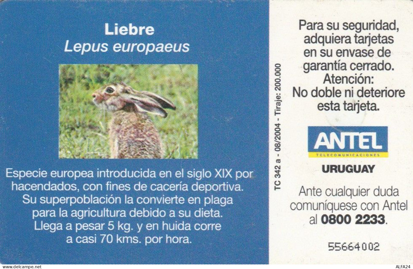 PHONE CARD URUGUAY  (E90.18.3 - Uruguay