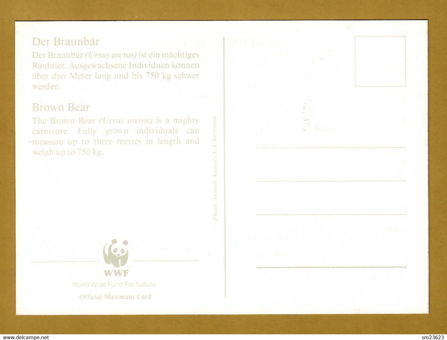 Jugoslawien  1988 , Braunbär / Brown Bear - WWF Maximum Card - First Day  Beograd 1.2.1988 - Maximumkarten