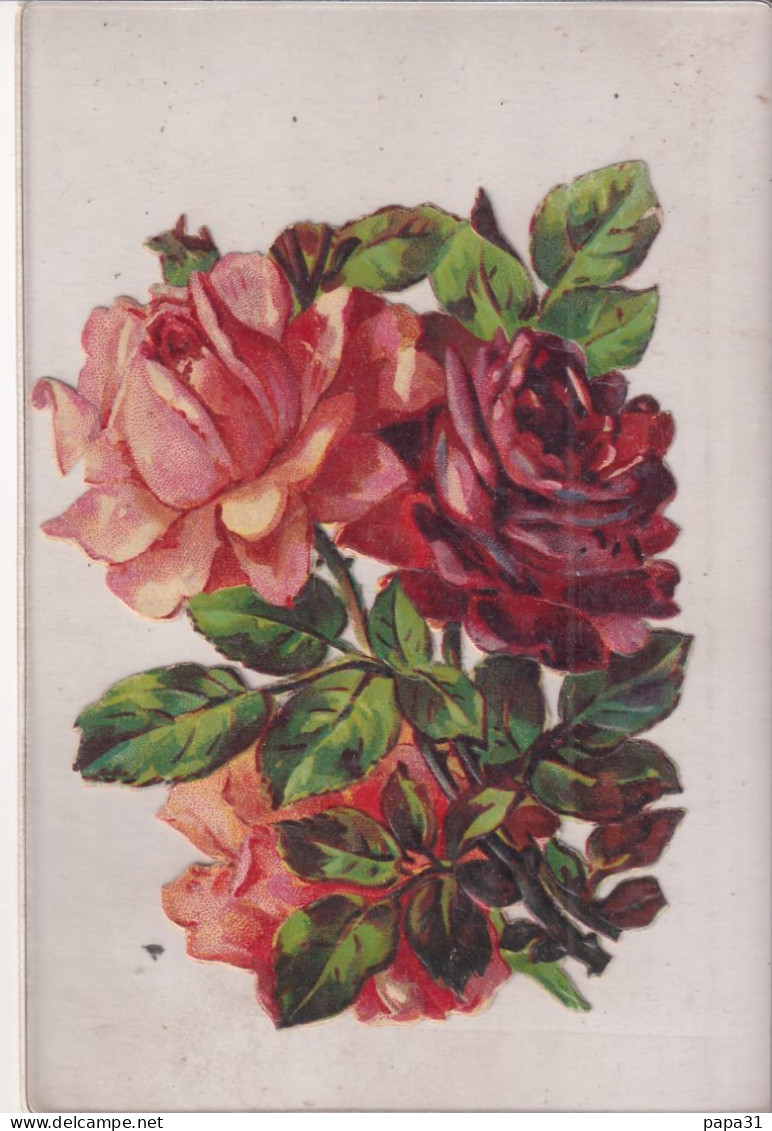 Déoupis  - Roses - Fiori