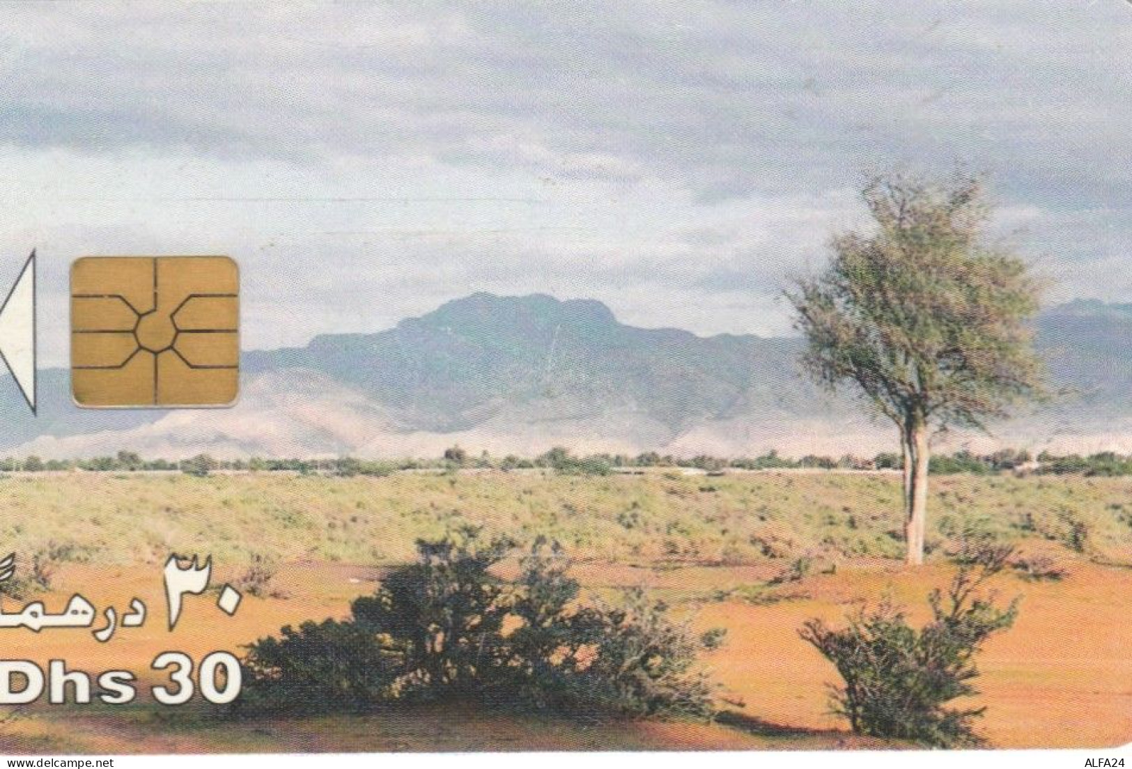 PHONE CARD EMIRATI ARABI  (E94.17.3 - Ver. Arab. Emirate