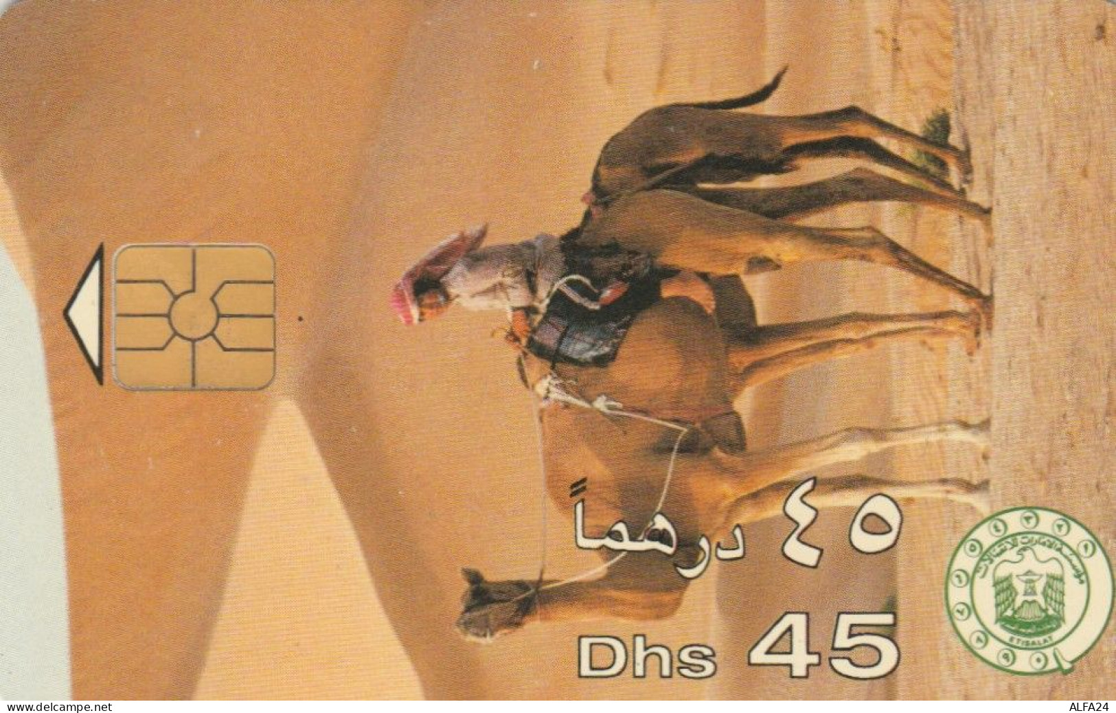 PHONE CARD EMIRATI ARABI  (E94.16.8 - Emirats Arabes Unis