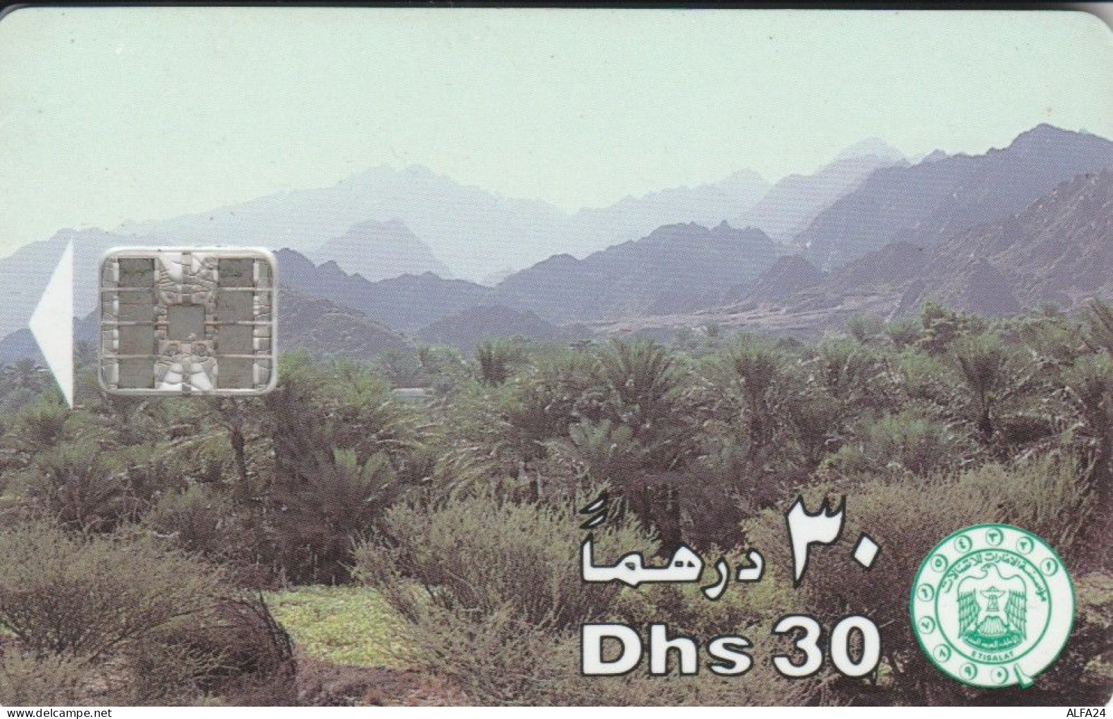 PHONE CARD EMIRATI ARABI  (E94.15.1 - Ver. Arab. Emirate