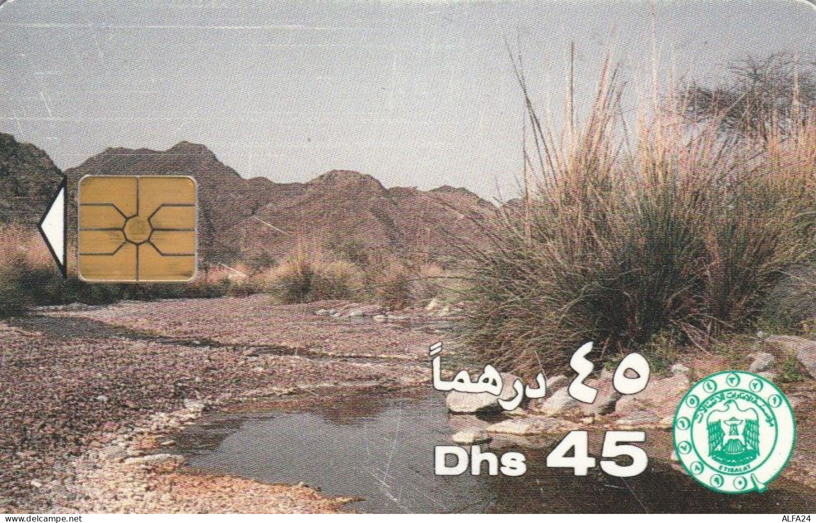 PHONE CARD EMIRATI ARABI  (E94.16.3 - Emiratos Arábes Unidos