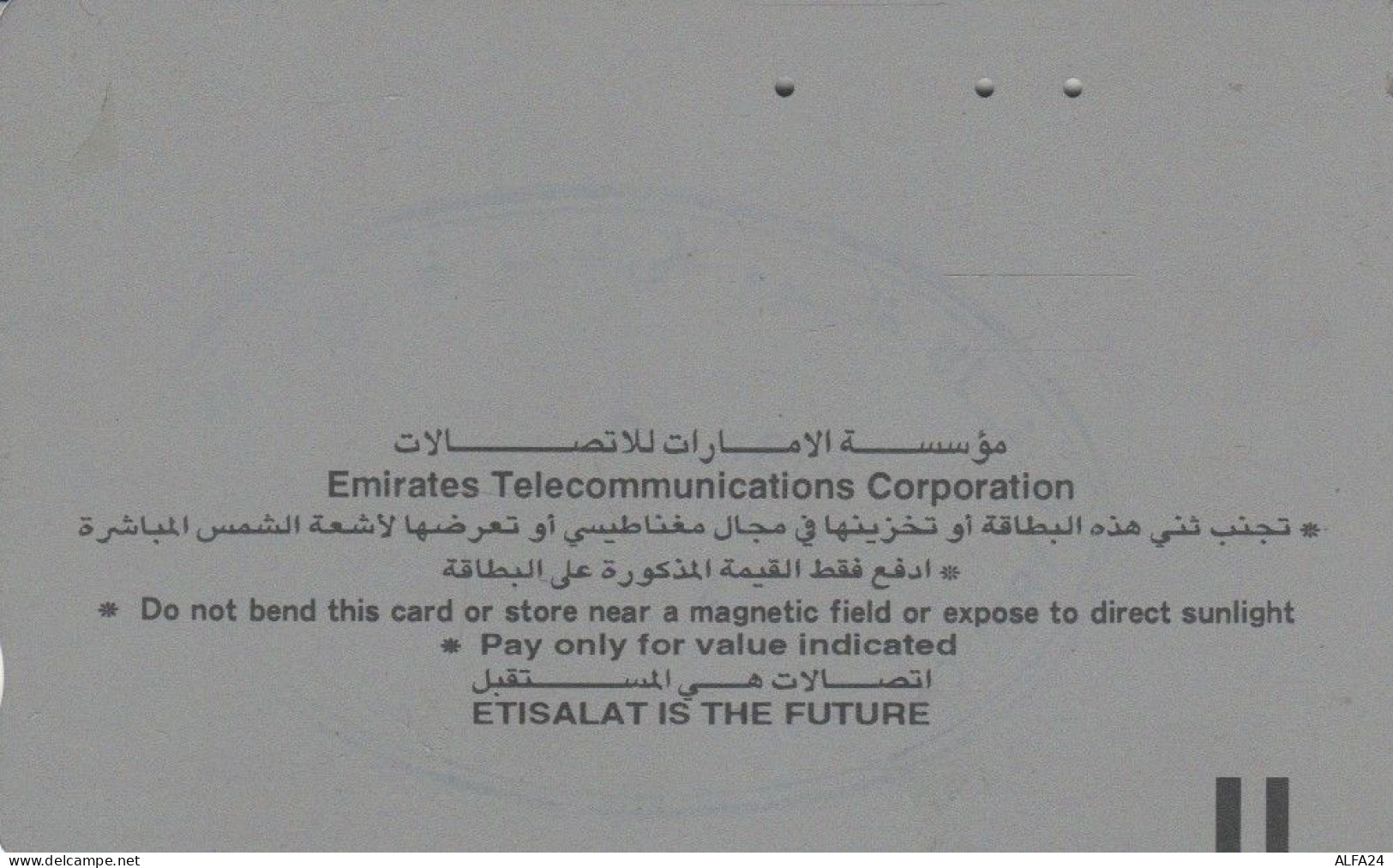 PHONE CARD EMIRATI ARABI  (E94.13.2 - Emiratos Arábes Unidos